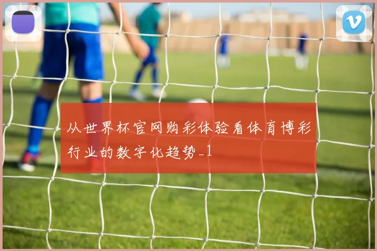 从世界杯官网购彩体验看体育博彩行业的数字化趋势_1