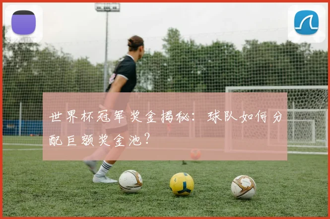 世界杯冠军奖金揭秘：球队如何分配巨额奖金池？